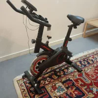 دوچرخه ثابت ، اسپینینگ