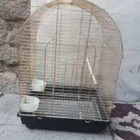 قفس پرنده