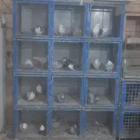 واگذاری مغازه