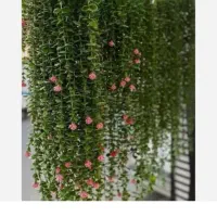 برگ سبز شکوفه دار همه رنگ
