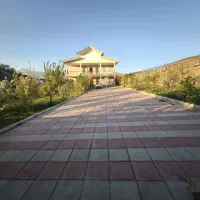 آریزو 6 Gt سفید 1403
