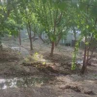 باغ با ساختمان و استخر جاده ساحلی زیار