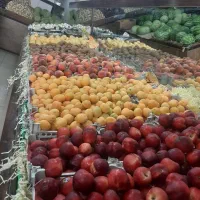 کارگر جهت کار در میوه فروشی