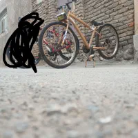 دوچرخه اسپرت