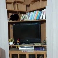 زیز تلوزیون و دکور