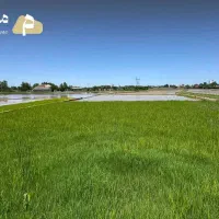 1100-متر-زمین-مسکونی-و-مزروعی-در-رشت-کوچصفهان