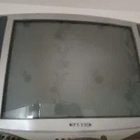 تلوزیون