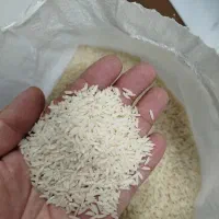 برنج ایرانی