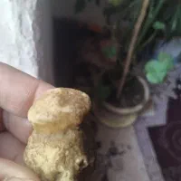 الماس خام