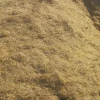 فروش گاه