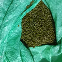 خوراکی ماش محلی