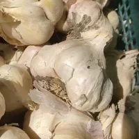 خوردنی و نوشیدنی