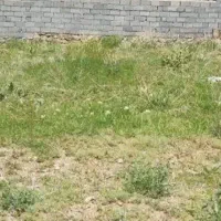 زمین شهرک کسری