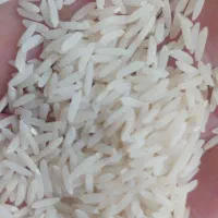برنج طارم هاشمی