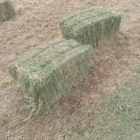 یونجه پرس شده