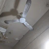 پنکه