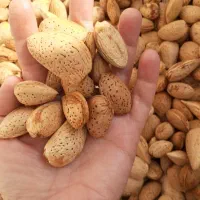 بادام|خوردنی و آشامیدنی|تبریز, |دیوار