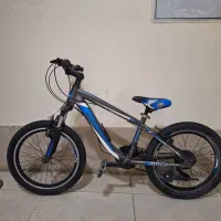 دوچرخه 20 جاینت