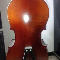 ویولنسل