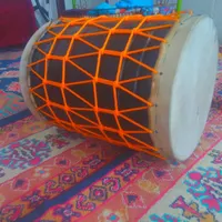 دمام اشکون اصل بوشهر ریز بافت