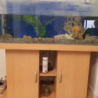 اکواریوم بزرگ با ماهی های زیبا و وسایل