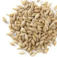 فروش جو کیلویی 55