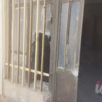 در و پنجره