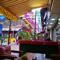 تور  افری زمینی شادو گروهی شهر (وان)