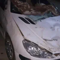 ماشین ۲۰۶