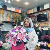 اموزش ادمینی، بلاگری، مدلینگ تحت نظر معین فرجی