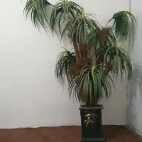 درختچه مصنوعی