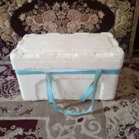 یخدان  یونولیتی ۲۰ لیتری