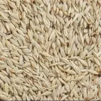 جو تمیز تمیز بدون خاک