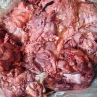 آشغال گوشت کله گاو تازه کشتار روز
