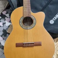 گیتار پارسی نو