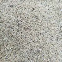 فروش جو