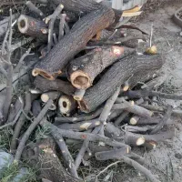 خرید چوب  و برش درخت
