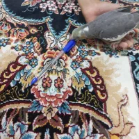 عروس هلندی سخنگو دستی