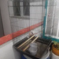 قفس بزرگ وقفس سره