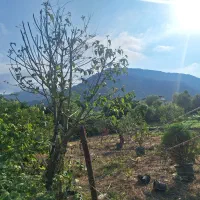 رهن واحد شیک 130 متری در بلوار طالقانی