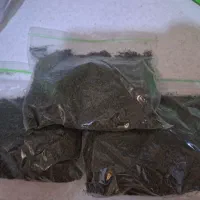 سبزی خشک کاملا تمیز