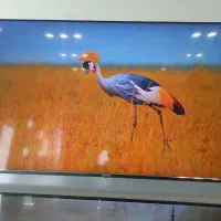 تلویزیون 65QK16000UM کیو ال ای دی