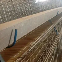 قفس مرغ تخم گذار ۳۶۰ سر نو
