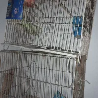 قفس استفاده شده