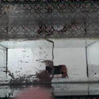 اکواریوم ماهی