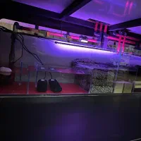 سرویس تعمیر و ساخت اکواریوم تراریوم پالاداریوم