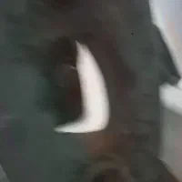 دستگاه خم کن