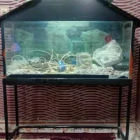 فروش اکواریوم بزرگ