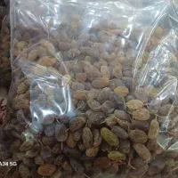 کشمش پلویی ،آفتابی