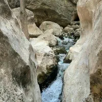 اجاره-یک-باب-منزل-واقع-در-طرقبه